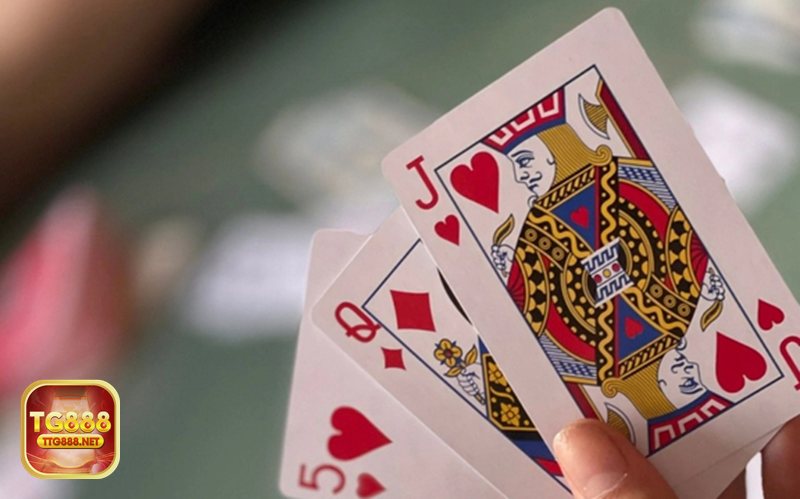 Giấy Phép Hợp Pháp - Tại sao giấy phép là thước đo uy tín Giấy Phép Hợp Pháp - Tại sao giấy phép là thước đo uy tín