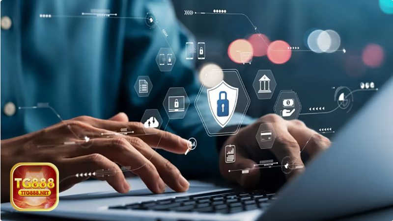 Quyền Riêng Tư - Dữ liệu tg888 thu thập và mục đích sử dụng