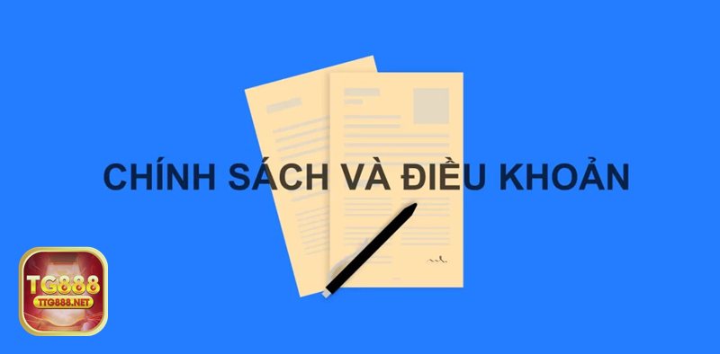 Điều Khoản Dịch Vụ - Phạm vi áp dụng và thuật ngữ cần hiểu