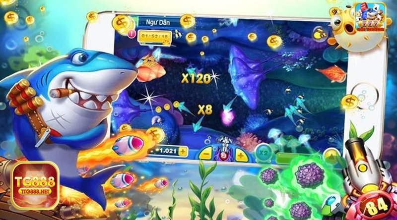 Mẹo bắn cá - Quan sát nhịp xuất hiện của cá