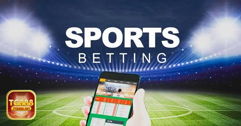 Cách đánh tài xỉu - Cách vận hành chuỗi cược 1-3-2-4