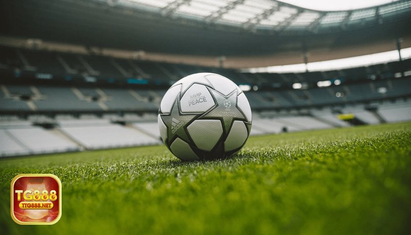 Kèo rung - Hiểu đúng bản chất của hình thức cược live